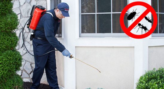 Bozüyük Bit İlaçlama böcek ilaçlama ve haşere kontrolü — ilaclama-tr.com